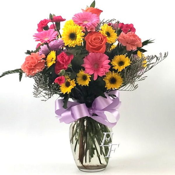 Gerbera Garden EF 007