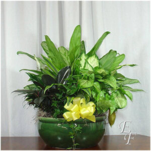 Ceramic flower pot with garden flowers