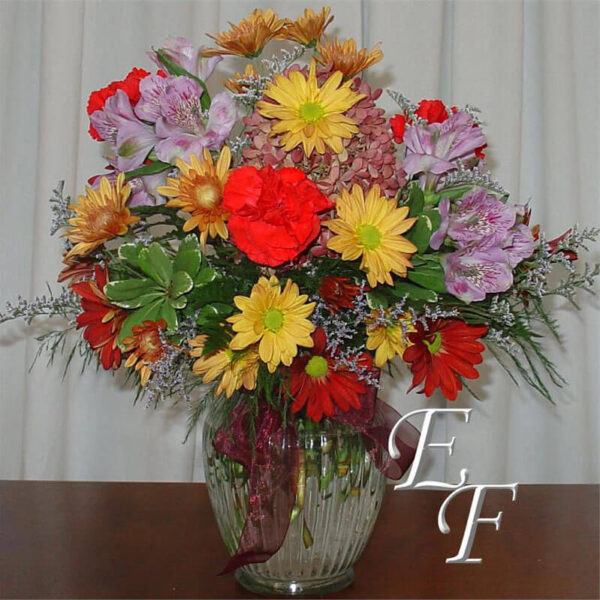 Shades of Autumn EF-418