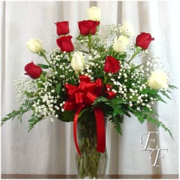Red & White Roses Arranged EF-912