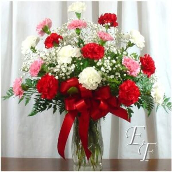 Carnations Arranged EF-916