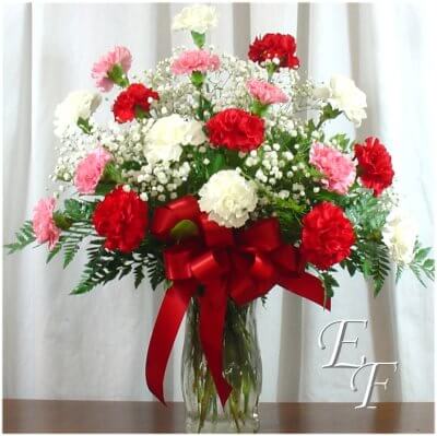 Carnations Arranged EF-916
