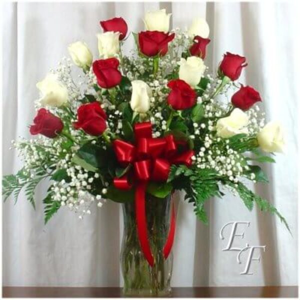 18 Red Roses Arranged EF-901
