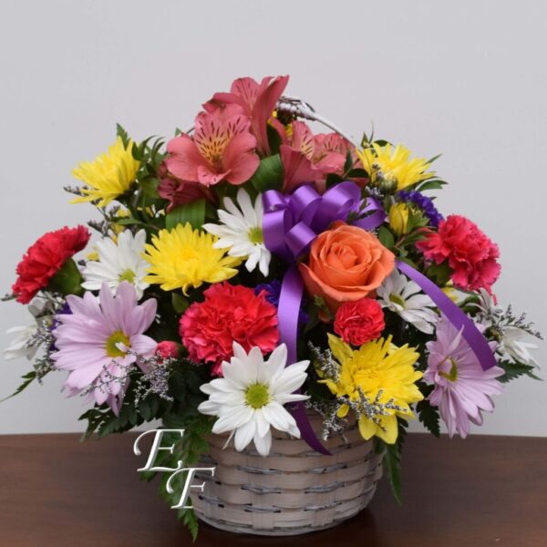 Colorful Basket EF-310