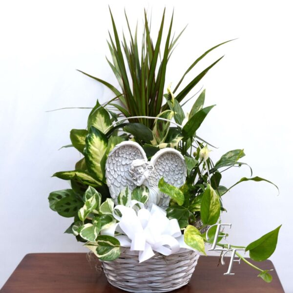 Angel Plaque Planter EF 061