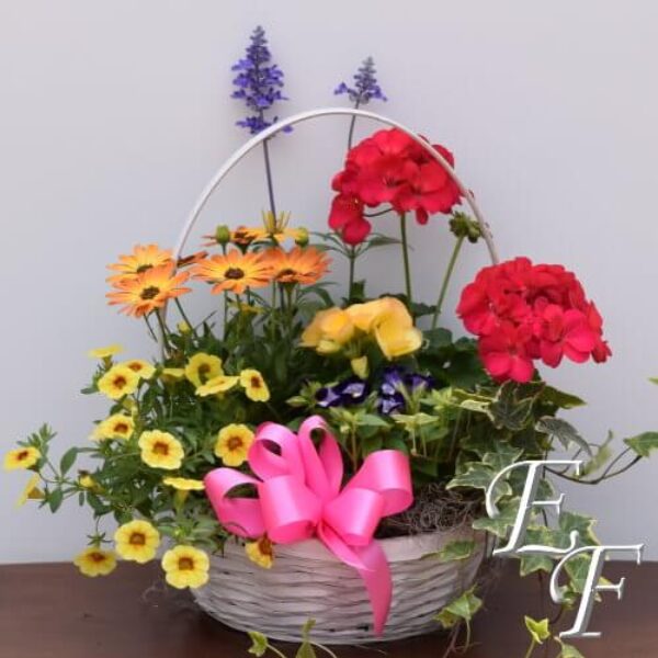 Bedding Garden Basket GH-110