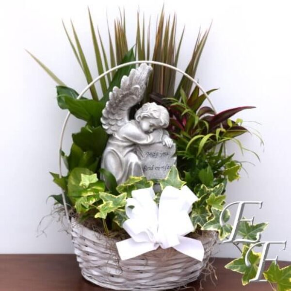 Comfort with Angels EF 71
