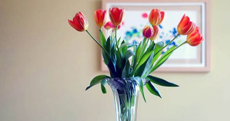 Vase with colorful tulips on a table.