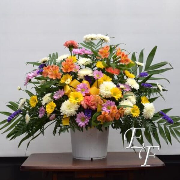 Vibrant Sympathy Mache EF 214-2A