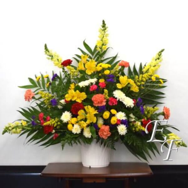 Vibrant Memories Mache EF 214-2B