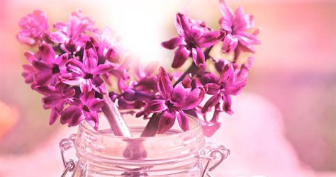 hyacinth-easter-flower-in-mason-jat
