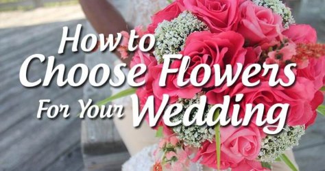 how-to-choose-flowers