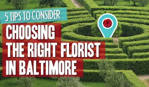 5 tips to consider when choosing a florist in Baltimore