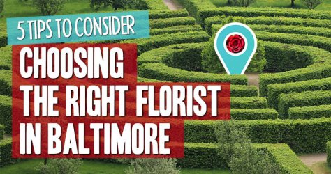 5 tips to consider when choosing a florist in Baltimore
