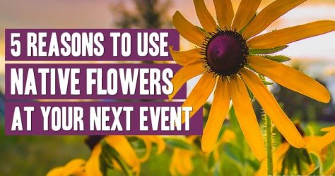 Five reasons to use native flowers at you next event