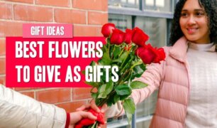 Feature Image - What Are The Best Flowers To Give As Gifts?