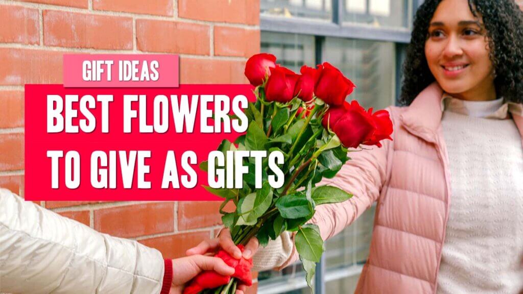 Feature Image - What Are The Best Flowers To Give As Gifts?