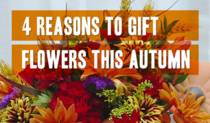 4-reasons-to-gift-flowers-this-autumn
