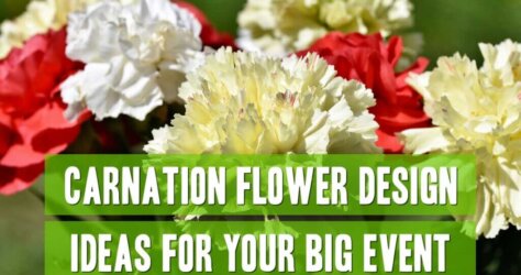 Carnation-flower-design-for-your-big-event