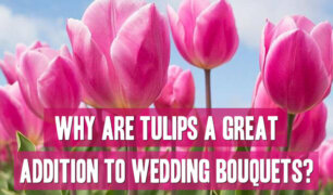 Why-are-tulips-great-for-wedding-bouquets