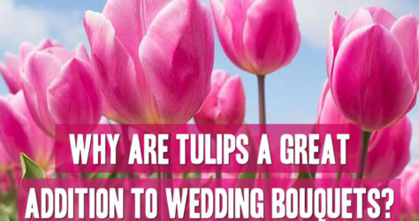 Why-are-tulips-great-for-wedding-bouquets