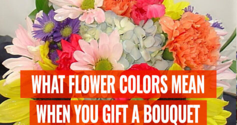 Which-Flowers-Should-You-Choose-For-Funeral
