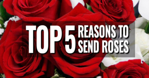Top-5-Reasons-For-Sending-Roses