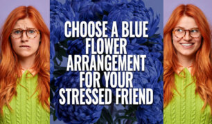 Choose-Blue-Flowers-For-Your-Stressed-Friend