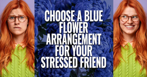 Choose-Blue-Flowers-For-Your-Stressed-Friend