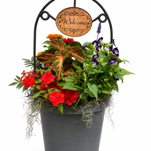 Welcome Garden